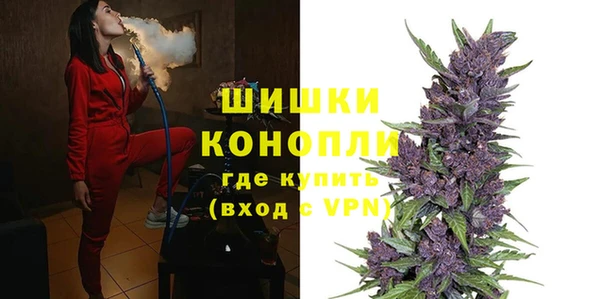 прущие грибы Абдулино