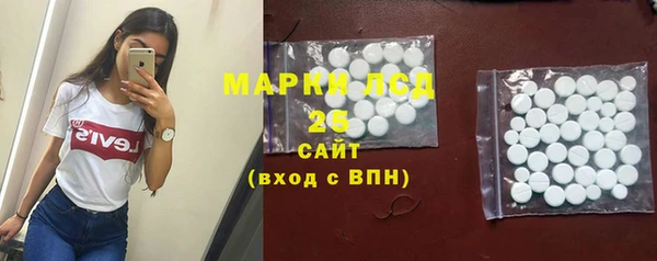 крисы Абаза