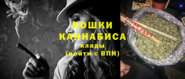 прущие грибы Абдулино