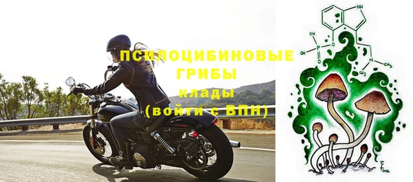 прущие грибы Абдулино