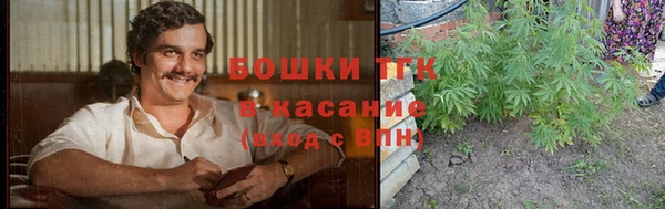 крисы Абаза