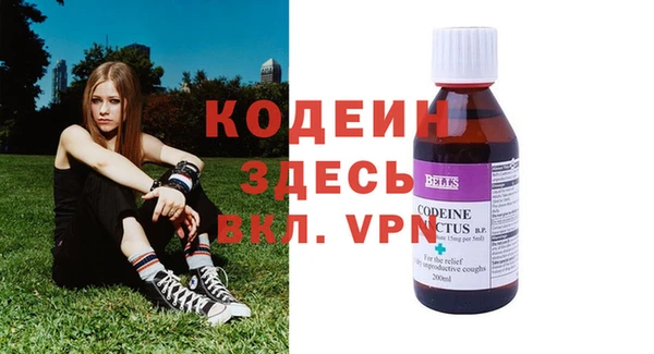 крисы Абаза