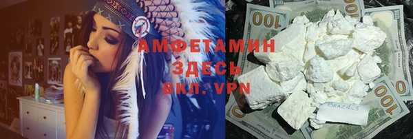 прущие грибы Абдулино
