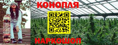 PSILOCYBIN Новодвинск
