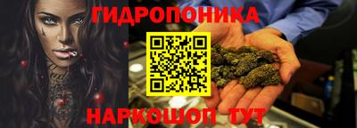 соль ск Новозыбков