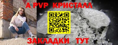 PSILOCYBIN Новодвинск