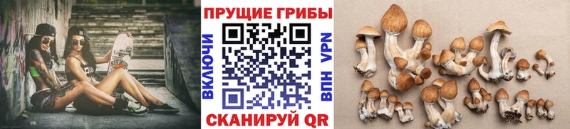 Галлюциногенные грибы GOLDEN TEACHER  Янаул 